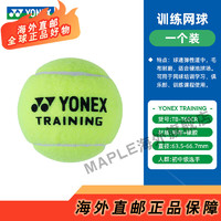YONEX尤尼克斯TRAINING训练网球初学练习比赛手感舒适耐磨耐打 YY训练网球1个
