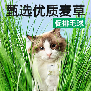 yee 意牌 猫零食冻干鸡肉粒鸡胸肉500g桶装猫草营养罐头宠物狗磨牙猫粮增肥