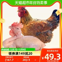 88VIP：WENS 温氏 文昌鸡农家土鸡肉800g散养走地鸡椰子鸡生鲜食品