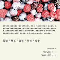 白鲸咖啡 R25 桑葚葡萄 埃塞 西达玛 歌塔 74158 厌氧日晒 100g