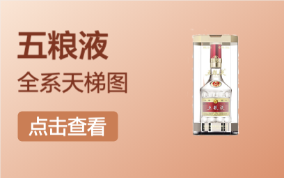 WULIANGYE 五粮液 普五 第八代 52%vol 浓香型白酒 500ml*2瓶