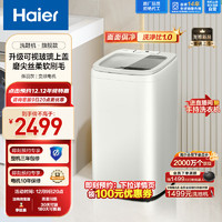 Haier 海尔 刷鞋机 洗衣机小型 全自动5KG洗鞋洗脱一体电离除菌BB洗鞋机母婴呵护HQ1-TB278G燕羽灰