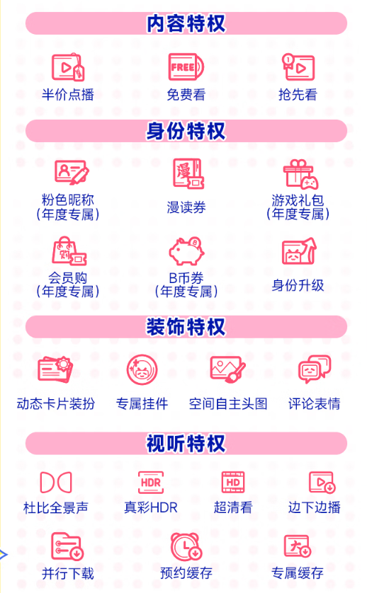 bilibili 哔哩哔哩 大会员年卡