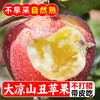 智田喜 四川大凉山盐源丑苹果冰糖心脆甜红富士时令新鲜水果小孩可吃 丑苹果2.5斤小果 60-65mm