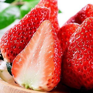 梦芷 红颜99草莓     新鲜水果整箱   当季现摘      奶油九九非丹东  精选带箱五斤