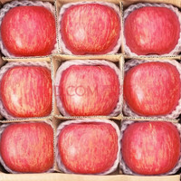 鲜级佳 山东特产脆甜烟台红富士苹果 10斤装 80-90mm