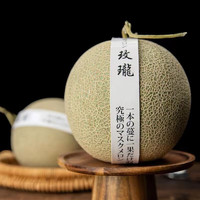语博海南网纹甜瓜应季新鲜水果 9斤装  9斤2-4个装