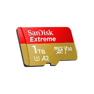 SanDisk 闪迪 至尊极速系列 A2U3V30 Micro-SD存储卡 1TB（U3，A2，V30）