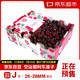 京东超市 智利原箱进口车厘子J级 5kg礼盒装 果径约26-28mm  年货水果礼盒