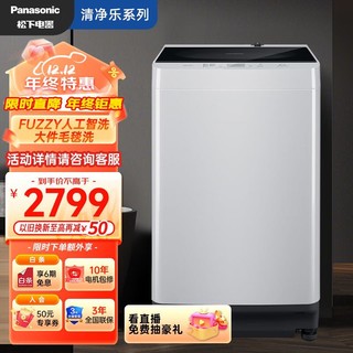 Panasonic 松下 波轮洗衣机全自动清净乐号 10公斤XQB100-QYACN