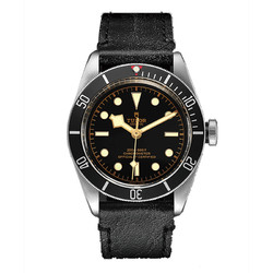 TUDOR 帝舵 碧湾系列 男士自动上链腕表 m79230n-0008