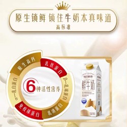 每日鲜语 原生高品质鲜牛奶950ml*4盒低温高钙巴氏杀菌乳顺丰包邮