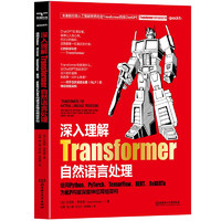 深入理解Transformer自然语言处理使用PthonPvTorch TensorFlow B