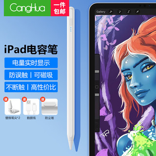 CangHua 仓华 iPad电容笔 apple pencil苹果笔二代手写笔平板触屏触控笔2022/2021/10/pro/air5/4/mini6平替笔