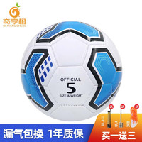 奇享橙 5号训练足球 PVC机缝教学用球学生青少年用球蓝色款