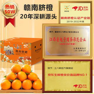 赣南脐橙 水果橙子新鲜江西赣南脐橙时令生鲜赣州甜橙礼盒 特级橙 10斤（90%人选择-超划算）