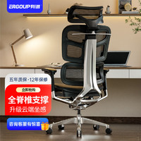 ERGOUP 有谱 FLYE1人体工学椅电脑椅旋转可升降舒适高端商务电竞椅高档