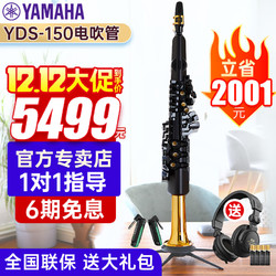 YAMAHA 雅马哈 电吹管YDS-150 YDS120电子萨克斯专业中老年演奏儿童初学吹管 YDS150 +全套大礼包