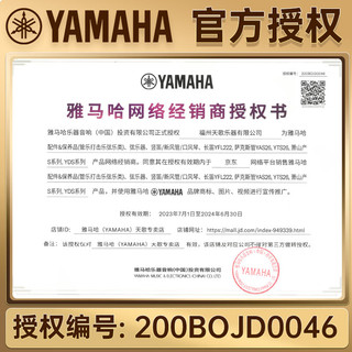 YAMAHA 雅马哈 电吹管YDS-150 YDS120电子萨克斯专业中老年演奏儿童初学吹管 YDS150 +全套大礼包