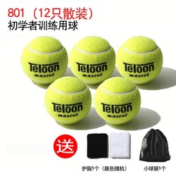 Teloon 天龙 网球训练球初学进阶专业比赛网球练习用球 12只 天龙801