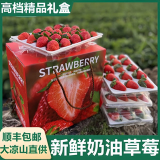 恰货郎 大凉山红颜99草莓 1盒12粒 礼盒装 净重300克 单果王25克+