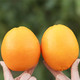 【双十二秒杀】重庆三峡脐橙(非赣南脐橙) 10斤精选大果(约12-15个)