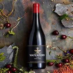 WATERFORD 沃特福德 黑皮诺干红葡萄酒2017 南非国家酒馆原瓶进口红酒 单支750ml