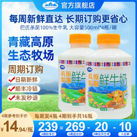 青海湖 巴氏杀菌4瓶 500ml高原娟珊鲜奶定期购每周三发货