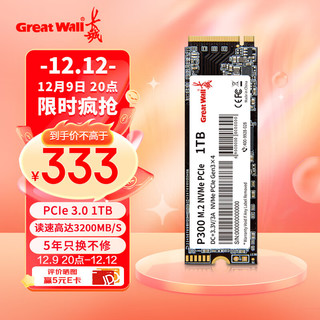 Great Wall 长城 1TB SSD固态硬盘 M.2接口(NVMe协议 PCle 3.0) P300系列 最高可达3200MB/s