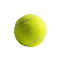 丝静 网球天球龙专业训练练习回弹儿童威单人尔高弹逊比赛匹单人克初学