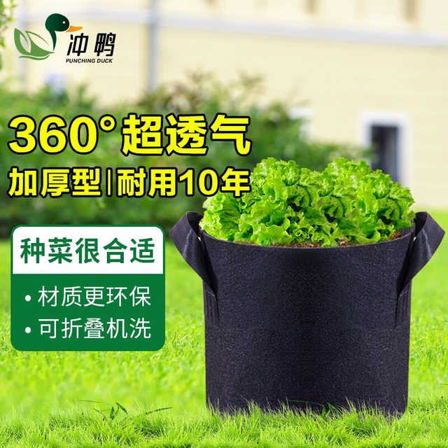 GO DUCKS 冲鸭农场 无纺布美植袋加厚控根种植袋双提手大花盆蔬菜水果花卉种树袋 6加仑加宽款