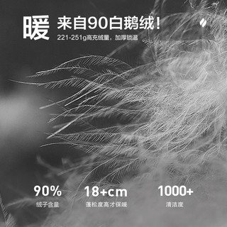 网易严选中国大鹅【半佛老师】-30℃地表强温90白鹅绒工装羽绒鹅绒服 【22款】无毛领-品月蓝 XL（180/100A）