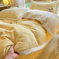 黛恒 牛奶绒床上用品四件套冬天雕花绒包边双面加绒保暖被套床单床笠
