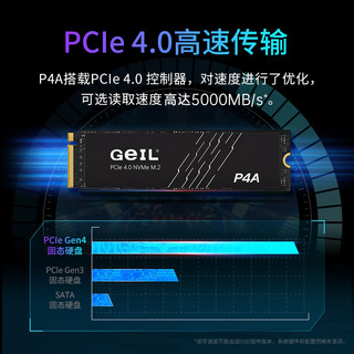 GeIL金邦M.2固态硬盘P4A M.2高速NVME PCIE4.0协议台式机笔记本通用SSD P4A 2T 标配