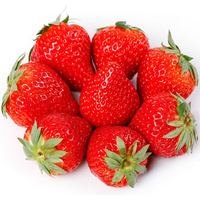 京喵 四川大凉山红颜奶油草莓 5斤中果彩箱装 单果约12g起 源头直发