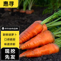惠寻 京东自有品牌 地理标志 胡萝卜10斤