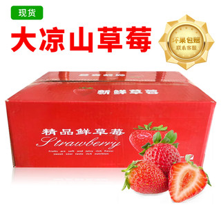 京世泽 草莓特价9.97/盒 源头直发4盒装（净重300克/盒以上）粒数随机