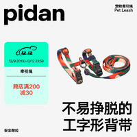 pidan 猫咪牵引绳套装 彩色网红-野兽色块 返乡溜猫必备