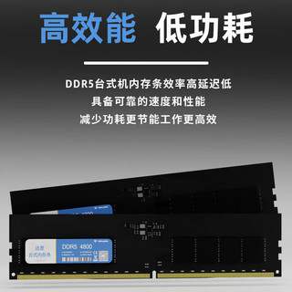 达墨 普条 台式内存条 DDR5 4800 台式机内存条 16GB/24GB/32GB/48GB 16GB海力士