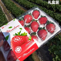 美得乐美得乐云南草莓新鲜水果时令当季水果红颜奶油甜草莓礼盒装 中果礼盒【20枚】 4盒装（1200g）