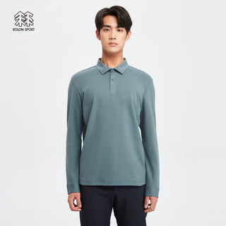 KOLON SPORT可隆户外休闲衣男弹力运动长袖T恤商务通勤长袖POLO衫 LHPT3WT637-CI 炭灰 185/2XL