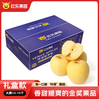 Joy Tree 欢乐果园 山东黄金维纳斯苹果 雀斑苹果 2.5kg礼盒装 约12-15个 生鲜水果