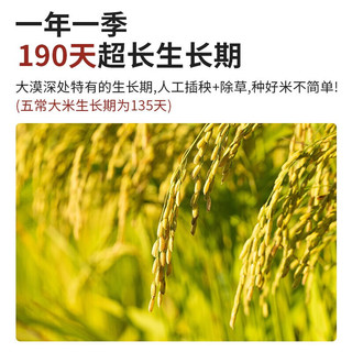 沙垦庄园 23年新米沙漠玉珠香米500g新疆大米粳米小包装胚芽米（）