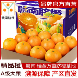 赣南脐橙 江西橙子 年货特产送礼水果礼盒 10斤装精选大果（单果150-240g）