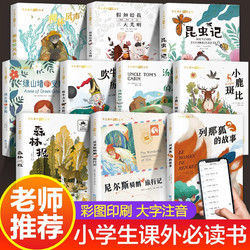长江出版社 国际获奖小说注音版全10册  儿童拼音读物7-10国际获奖小说20册