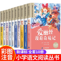 新课标小学语文阅读丛书（全10册 ）彩图注音版 爱的教育 海底两万里 童年 福尔摩斯探案集 小课外读物