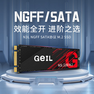 GeIL 金邦 N3L SATA 固态硬盘