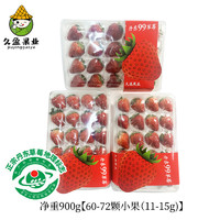 鑫久盈 丹东99红颜奶油草莓 小果900g（单果11-15g）60-72颗
