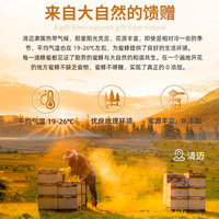 OngDhong泰国龙眼蜜纯正天然百花蜂蜜小包装挤