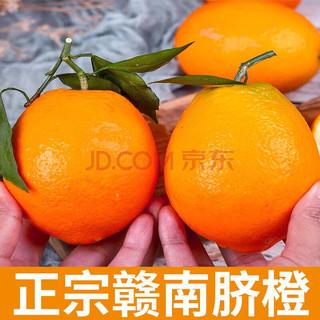 ZOCI 江西赣州新鲜橙子 精选赣南脐橙10斤